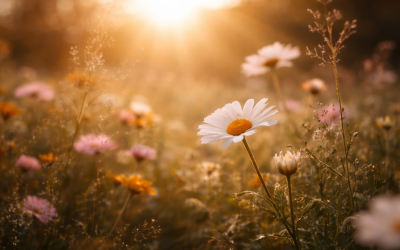La sagesse silencieuse des fleurs : quand la lumière devient vie