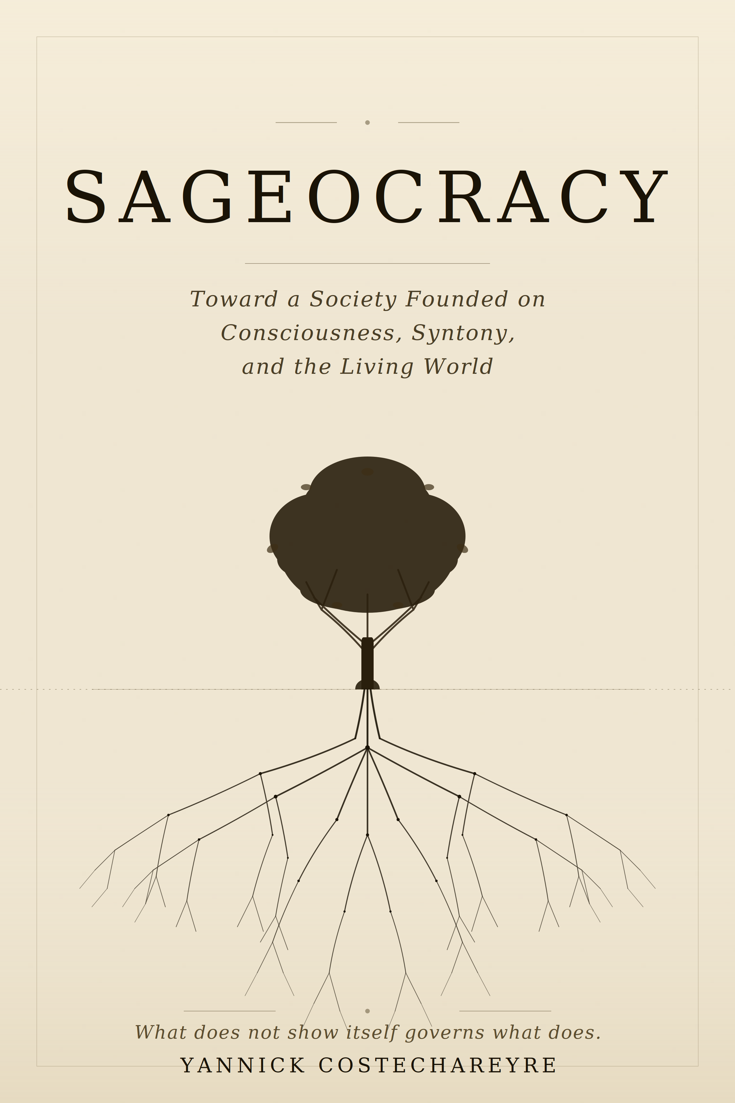 Cover of the book La Sageocratie
